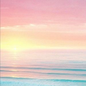 Meet your Posher, Sunlight